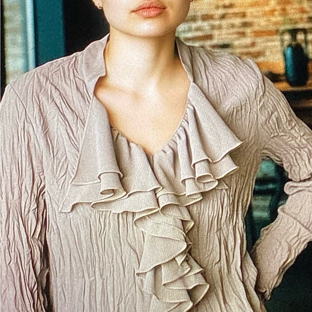 Elegant Sheer Ruffled Beige Women's Blouse Size Large